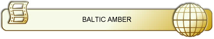 BALTIC AMBER