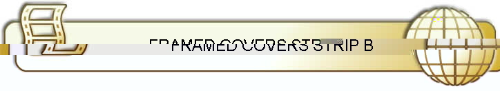 FRAMED COVERS STRIP B